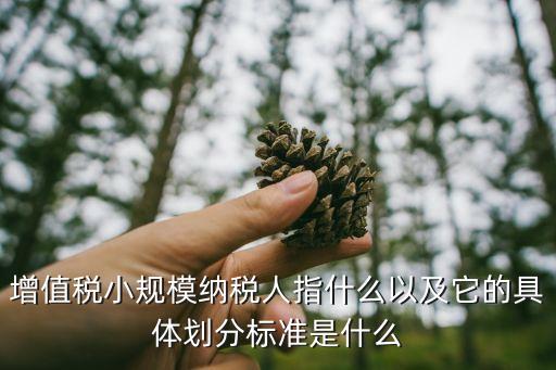 小規(guī)模納稅人標(biāo)準(zhǔn)，新政策中一般納稅人和小規(guī)模納稅人的劃分標(biāo)準(zhǔn)是多少