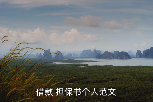 借款 擔(dān)保書(shū)個(gè)人范文
