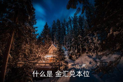 什么是 金匯兌本位