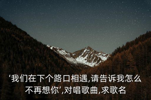 ‘我們在下個路口相遇,請告訴我怎么不再想你’,對唱歌曲,求歌名
