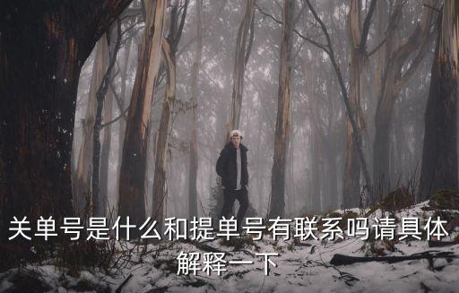 關(guān)單號是什么和提單號有聯(lián)系嗎請具體解釋一下