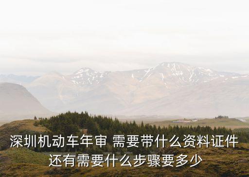 深圳車輛行駛證年審，深圳機(jī)動車年審 需要帶什么資料證件 還有需要什么步驟要多少