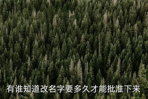 有誰知道改名字要多久才能批準(zhǔn)下來