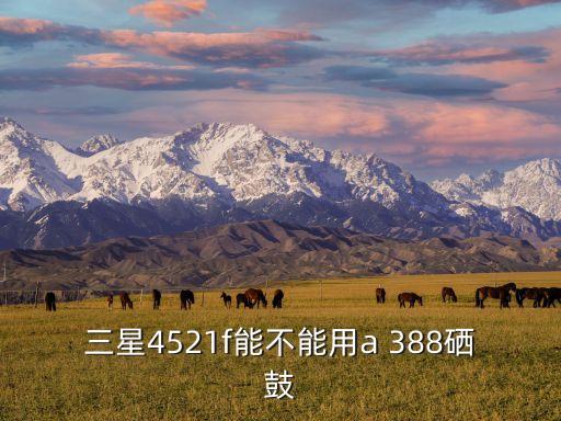 空客388,阿聯(lián)酋航空空客388