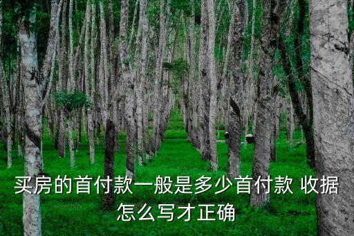 買(mǎi)房的首付款一般是多少首付款 收據(jù)怎么寫(xiě)才正確