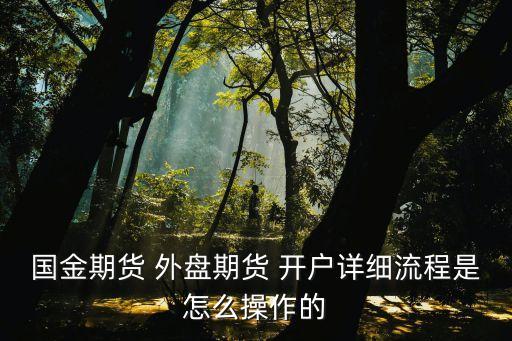 國金期貨 外盤期貨 開戶詳細流程是怎么操作的