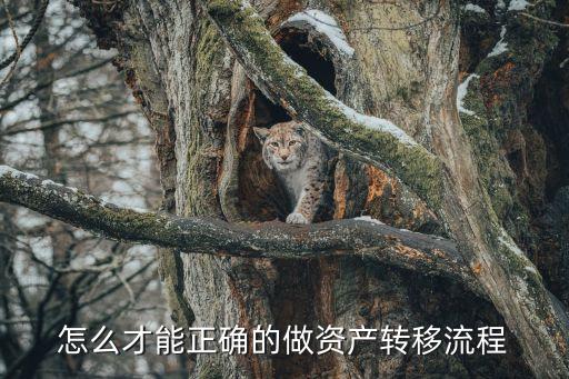 怎么才能正確的做資產(chǎn)轉(zhuǎn)移流程