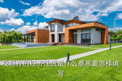 投資方經(jīng)濟性質，投資方的經(jīng)濟性質是什么意思要怎樣填寫