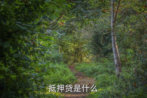 抵押貸，什么是抵押貸款需要什么經(jīng)濟條件謝謝