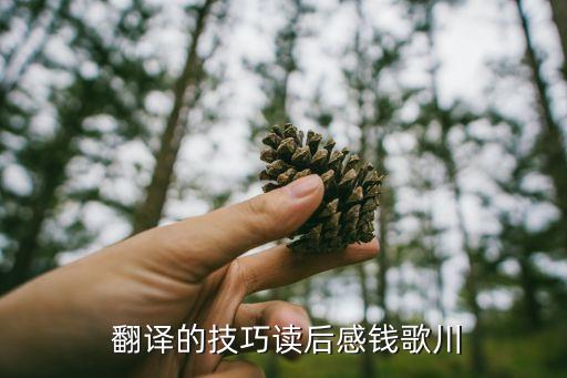 翻譯心得體會大學生,翻譯項目管理心得體會