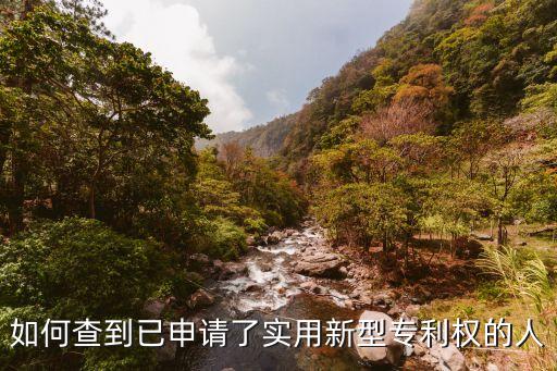 實(shí)用新型專(zhuān)利查詢(xún)，如何查到已申請(qǐng)了實(shí)用新型專(zhuān)利權(quán)的人