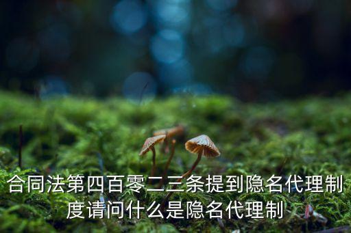 隱名代理，合同法第四百零二三條提到隱名代理制度請問什么是隱名代理制