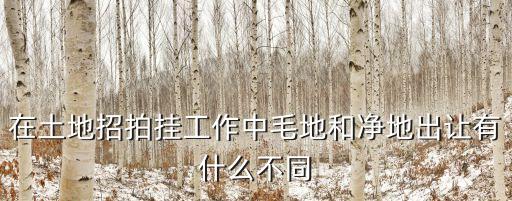 在土地招拍掛工作中毛地和凈地出讓有什么不同