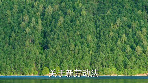 勞動法最新，新勞動法詳細解說