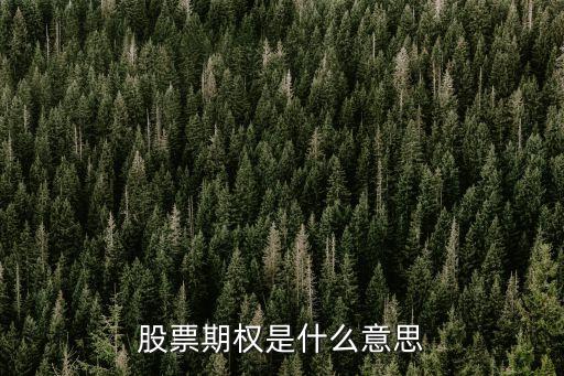 股票期權(quán)是什么，股票期權(quán)是什么意思