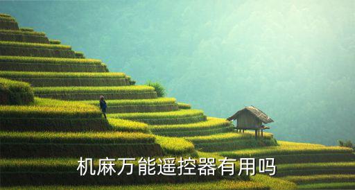 機麻遙控器，機麻遙控器是真的嗎