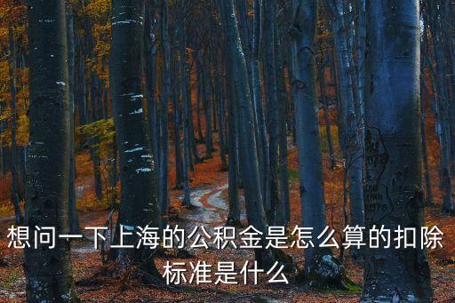 想問一下上海的公積金是怎么算的扣除標(biāo)準(zhǔn)是什么