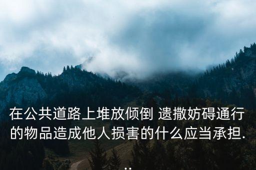 在公共道路上堆放傾倒 遺撒妨礙通行的物品造成他人損害的什么應(yīng)當(dāng)承擔(dān)...