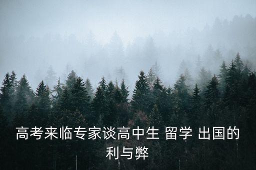 出國(guó)留學(xué)的利與弊,高中生出國(guó)留學(xué)的利與弊