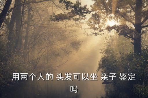 頭發(fā)親子鑒定