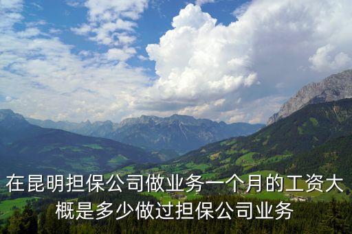 擔(dān)保公司，云南省投融資擔(dān)保有限公司的業(yè)務(wù)范圍是什么