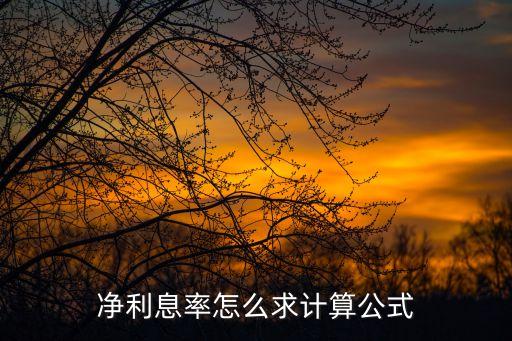 凈利率怎么算，凈利潤(rùn)率公式是什么