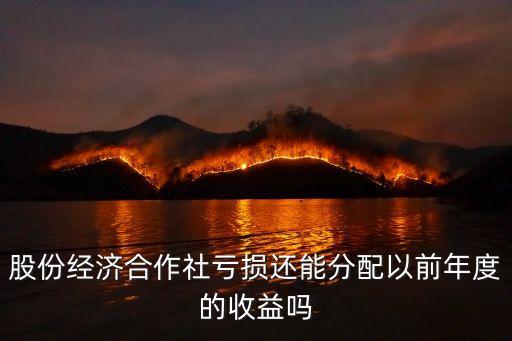 股份經(jīng)濟合作社，農(nóng)村股份經(jīng)濟合作社支出的股金利息計入什么科目