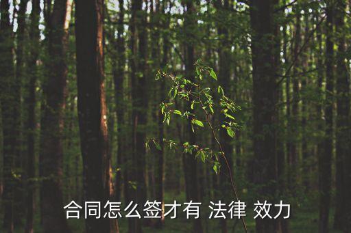  合同怎么簽才有 法律 效力
