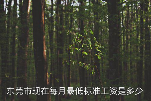 東莞最低工資，廣東省東莞的最低工資日多少