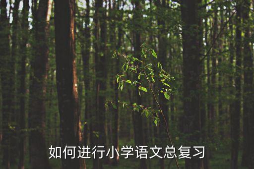美麗的小興安嶺教案