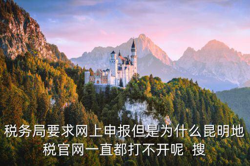 地稅申報(bào)，稅務(wù)局要求網(wǎng)上申報(bào)但是為什么昆明地稅官網(wǎng)一直都打不開呢  搜