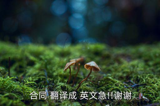 討論合同英文翻譯,和安德森先生討論合同英文翻譯