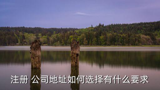公司住所