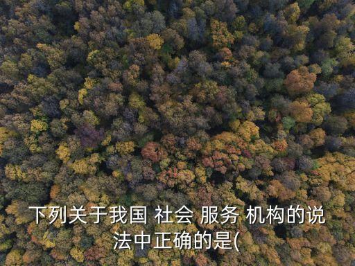 社會服務機構