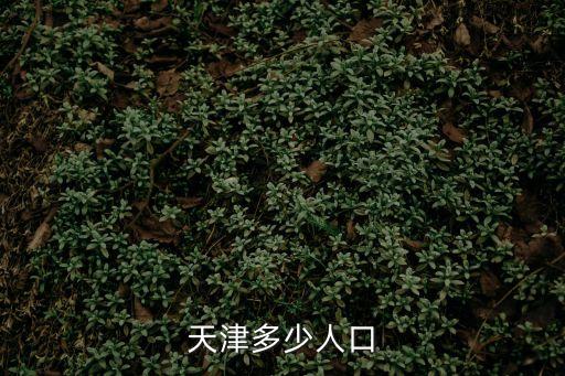 天津多少人口