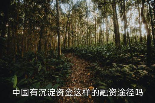 中國有沉淀資金這樣的融資途徑嗎