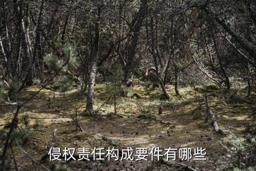 侵權(quán)責(zé)任構(gòu)成要件有哪些