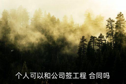 個(gè)人能簽訂合同嗎,單位與個(gè)人簽訂合同模板