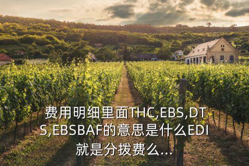  費用明細里面THC,EBS,DTS,EBSBAF的意思是什么EDI就是分撥費么...