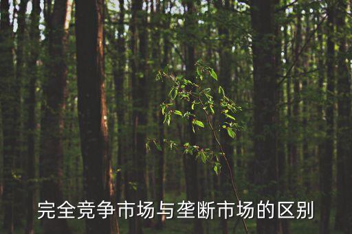 完全市場，什么是完全競爭市場