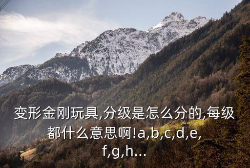v級是幾級,iga腎病iv級是幾級