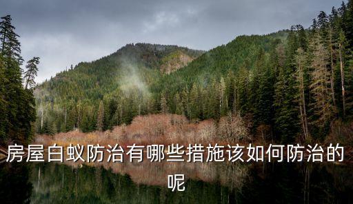房屋白蟻防治有哪些措施該如何防治的呢