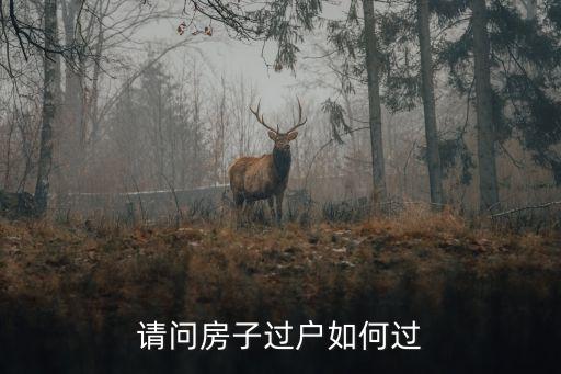 過房子，172平米的房子己過了5年過戶要多少錢