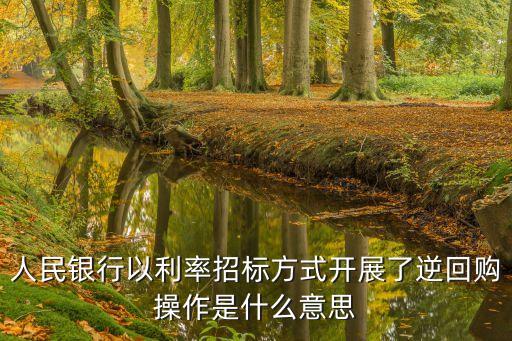 逆回購操作，國債逆回購 是什么意思啊具體怎么操作說一下