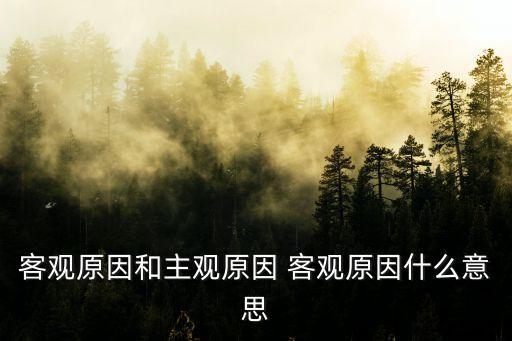 主觀原因，客觀原因和主觀原因 客觀原因什么意思