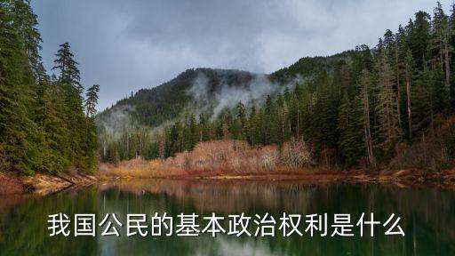 我國公民的基本政治權利是什么