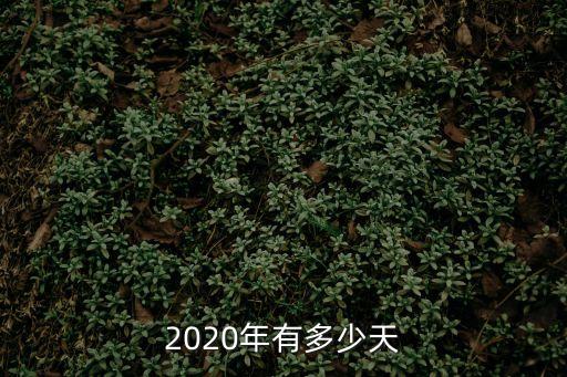2020年有多少天
