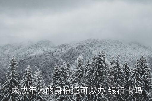  未成年人的身份證可以辦 銀行卡嗎
