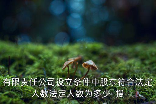 有限責(zé)任公司設(shè)立條件中股東符合法定人數(shù)法定人數(shù)為多少  搜