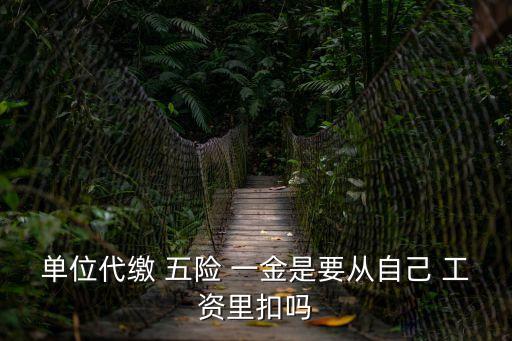 五險一金是從工資里扣嗎,公司代繳五險一金是從工資里扣嗎